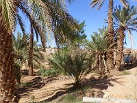 20 octobre Taghit Beni Abbes Timimoune 68