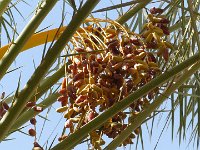 22 octobre-Timimoume à Ghardaia 12