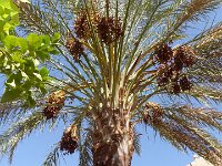 22 octobre-Timimoume à Ghardaia 14