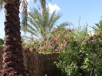 22 octobre-Timimoume à Ghardaia 15
