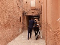 23 octobre--Ghardaia-1 97