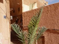 24 octobre-Ghardaia+ 53