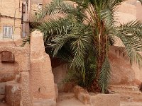 24 octobre-Ghardaia+ 83