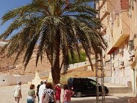 24 octobre-Ghardaia+ 99