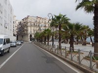 25 octobre Alger-Tipasa 32