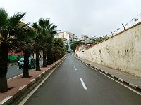 25 octobre Alger-Tipasa 52