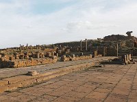 28 OCTOBRE Biskra-Batna-Timgad-Constantine 197