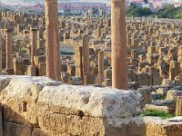 28 OCTOBRE Biskra-Batna-Timgad-Constantine 213