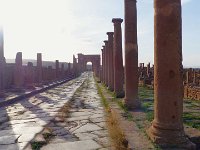 28 OCTOBRE Biskra-Batna-Timgad-Constantine 230