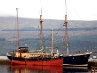 DSC 3547