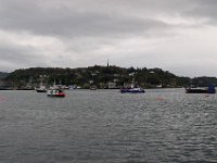 DSC 3613