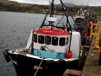 DSC 4023