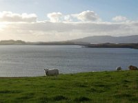 DSC 4147