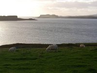 DSC 4151